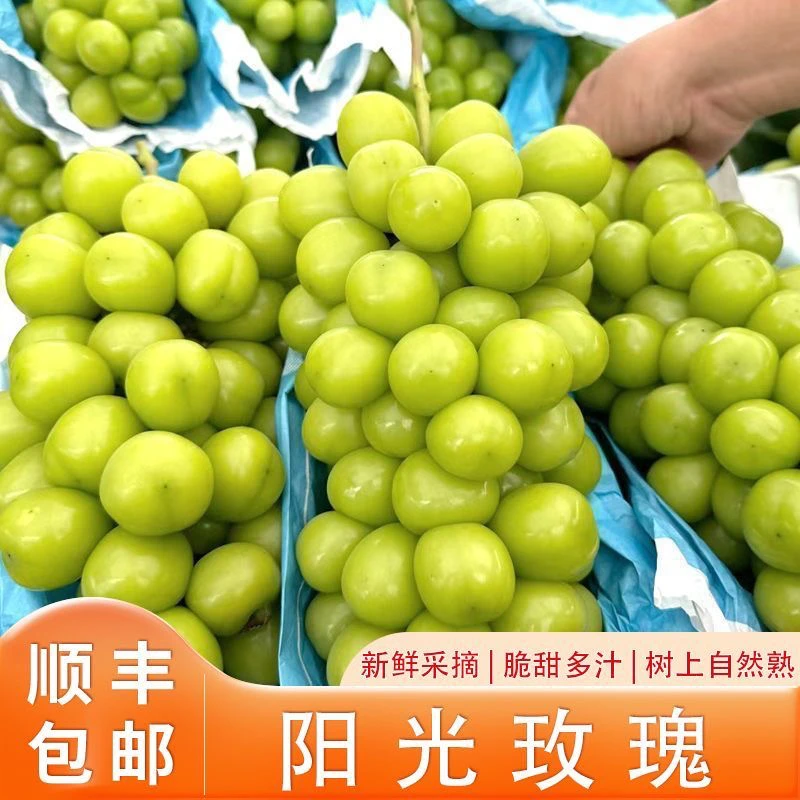 阳光玫瑰新新鲜鲜云南省