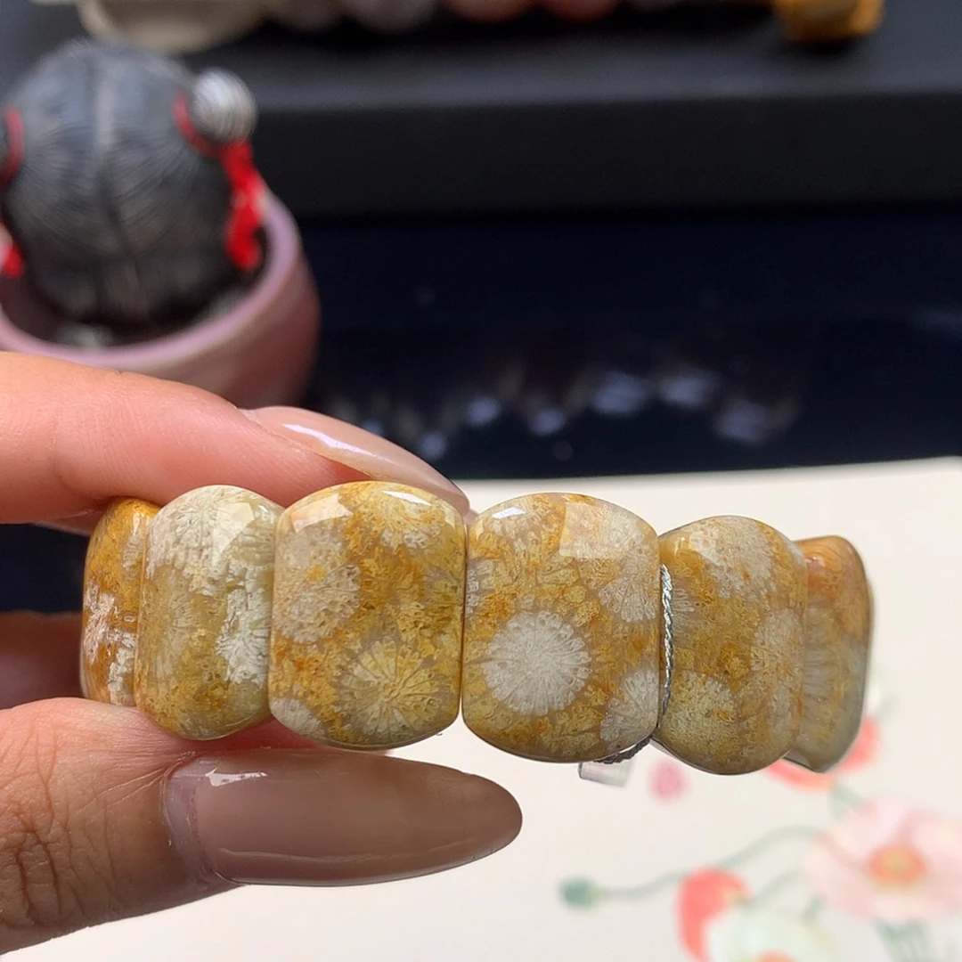 【闪购商品】颈饰未镶嵌硅化珊瑚（珊瑚玉）11号 镯饼2000同料
