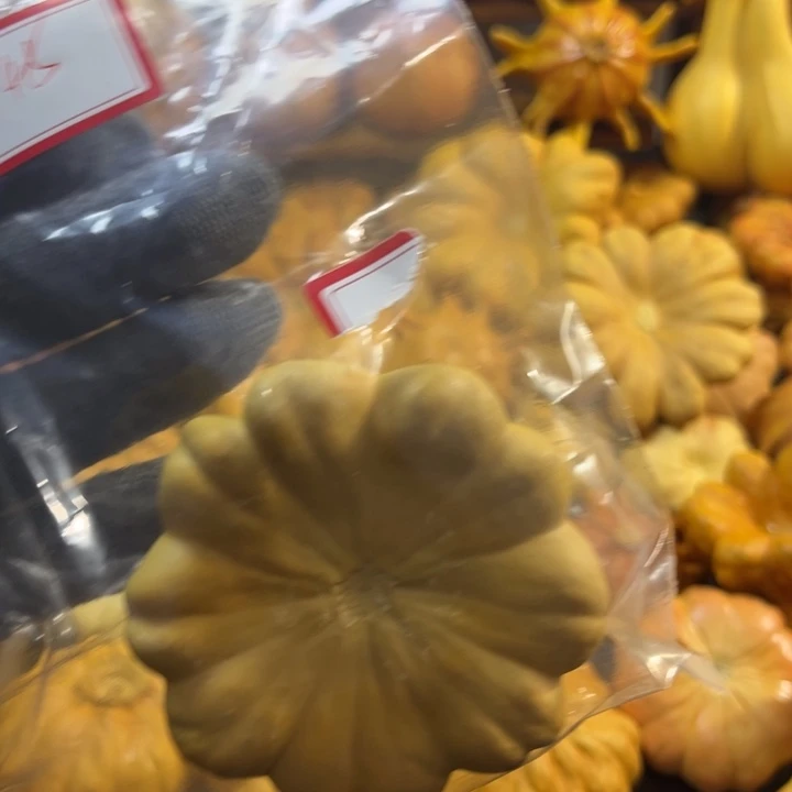 我的墨西哥七彩葫芦