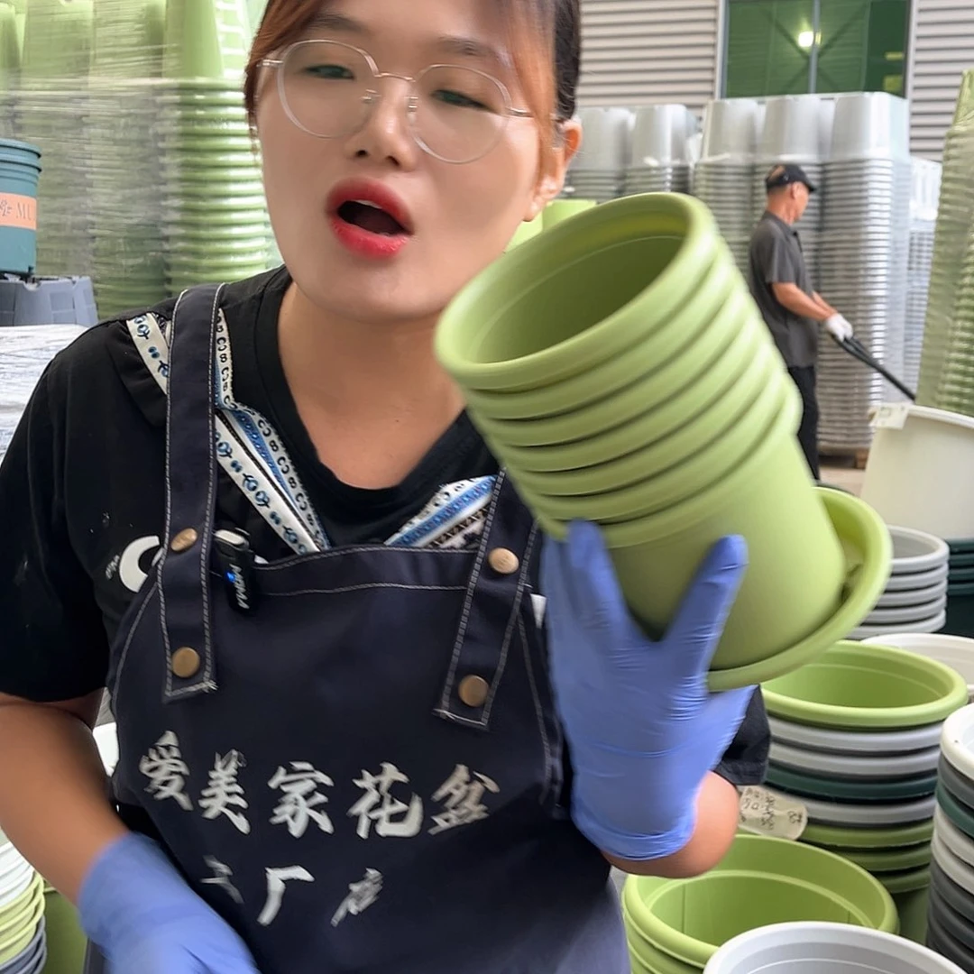 四季盆1#果绿色10个 含托