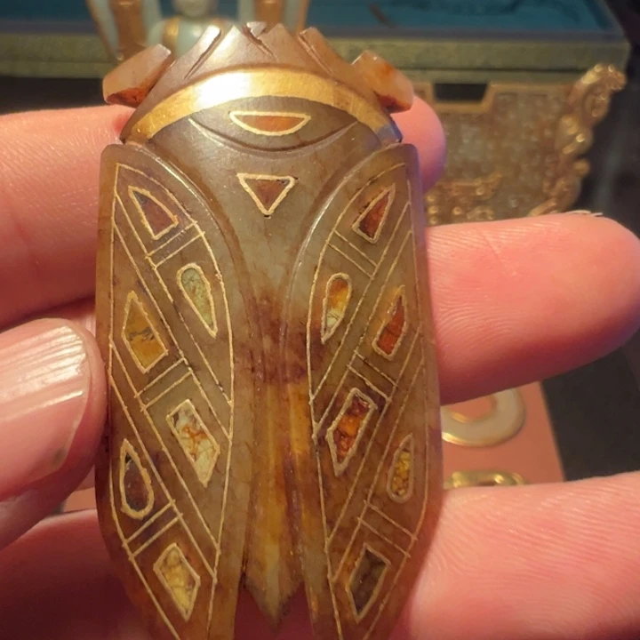 龙***下我的小可爱们都好可爱