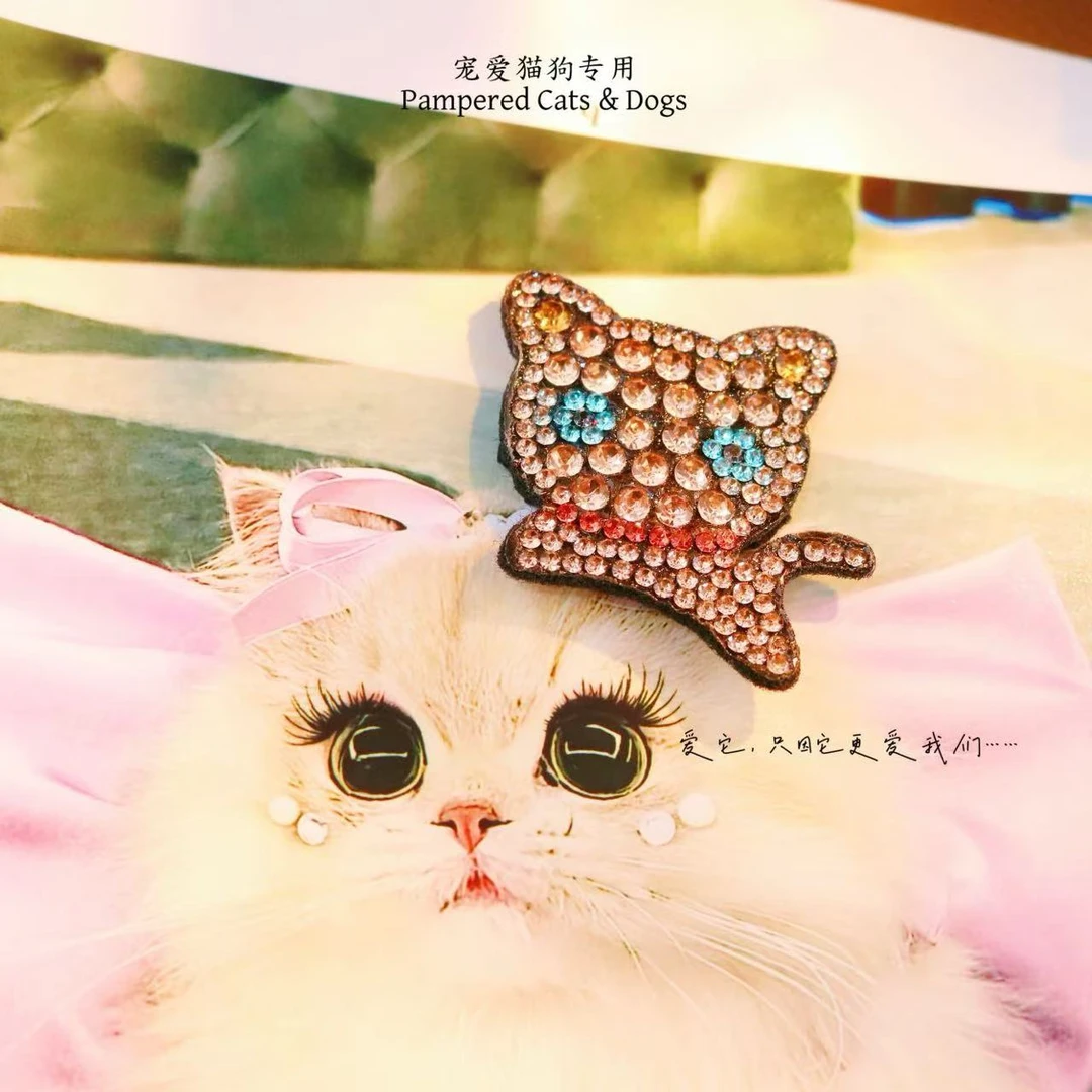 小猫咪宠物猫狗专用BB夹头饰配饰A272