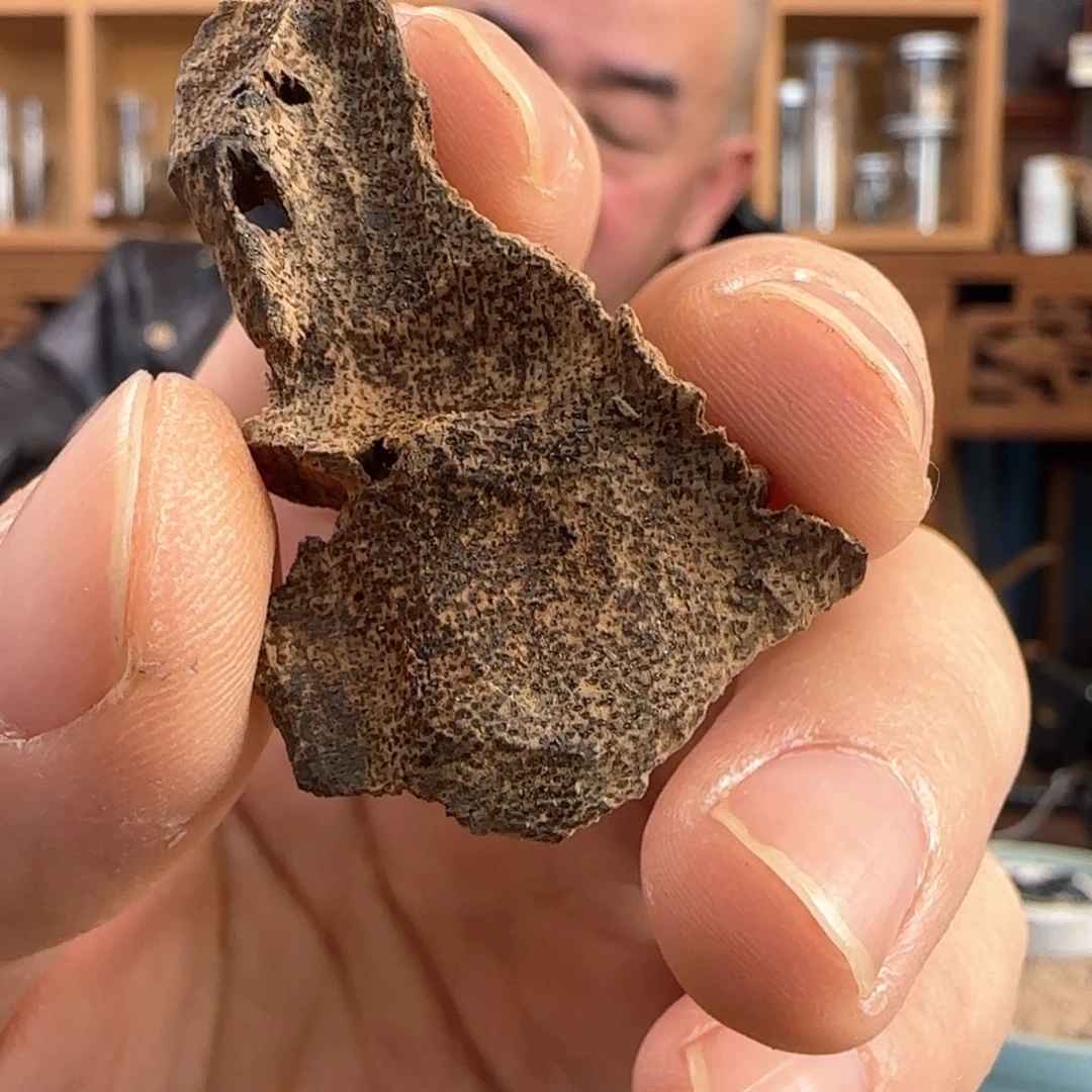 沉香摆件海南琼中沉水大块碎料2克