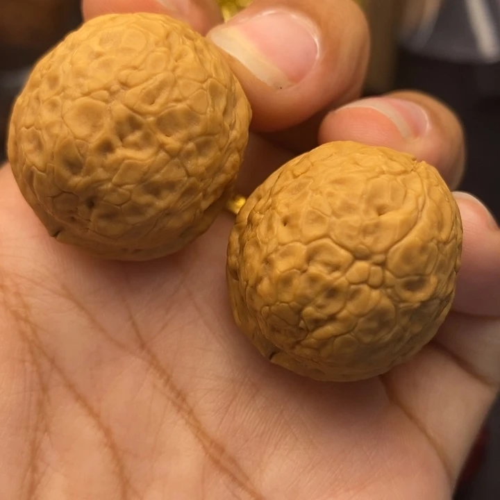 把件文玩核桃32尺寿星元宝