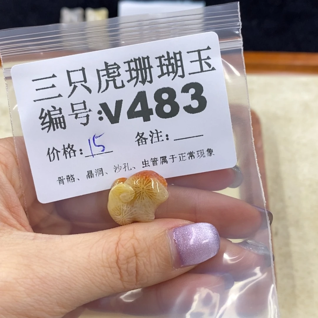 硅化珊瑚（珊瑚玉）未镶嵌1明****^