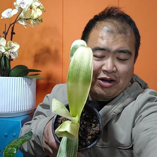 完全开放00100000000