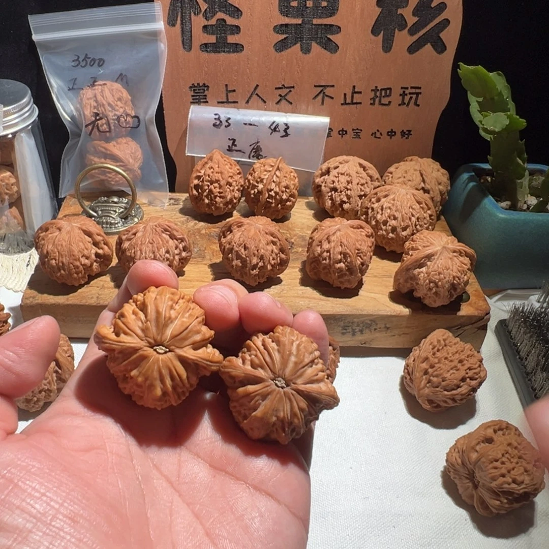 T***Z核桃全品无修 40 山地 正磨