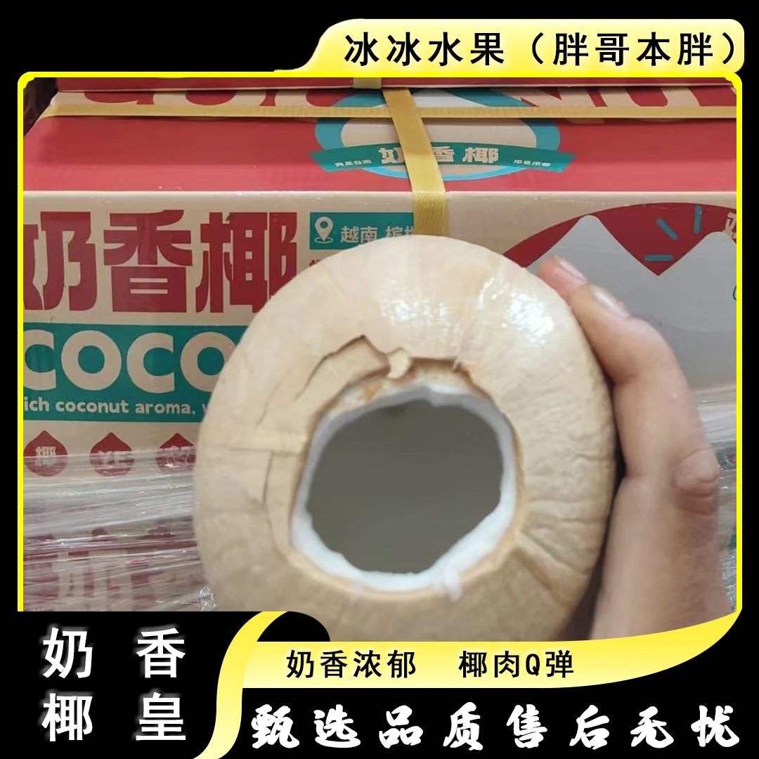【原箱】[N]奶香椰皇 箱/9颗 仅限太原晋中吕梁忻州可拍