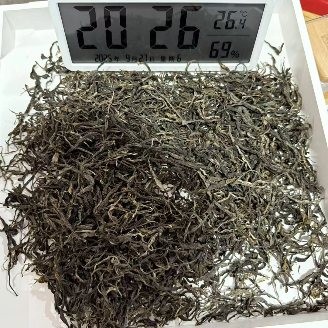 D07-汤道明-2025年大漆树头春乔木