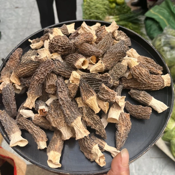 羊肚菌  云南大山赶集现收