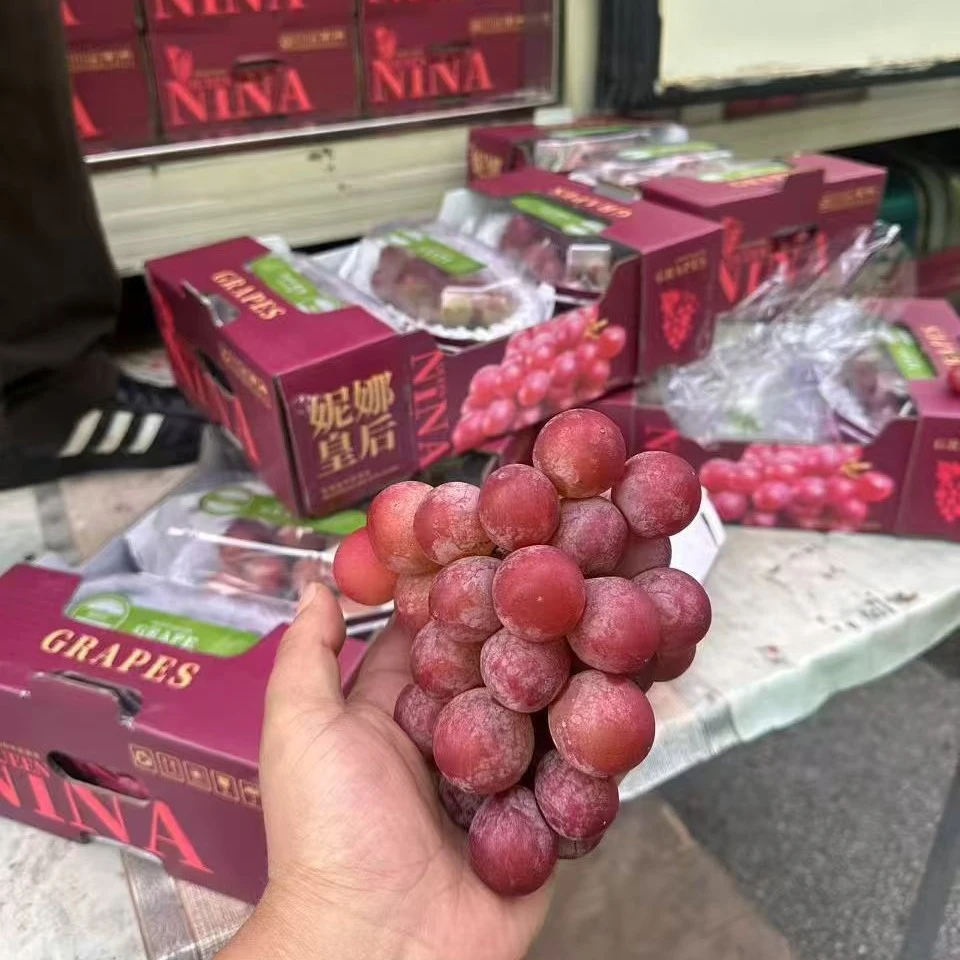 妮娜皇后《拼串掉粒不售后》