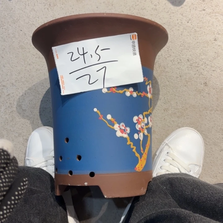 花盆紫砂紫砂的颜色