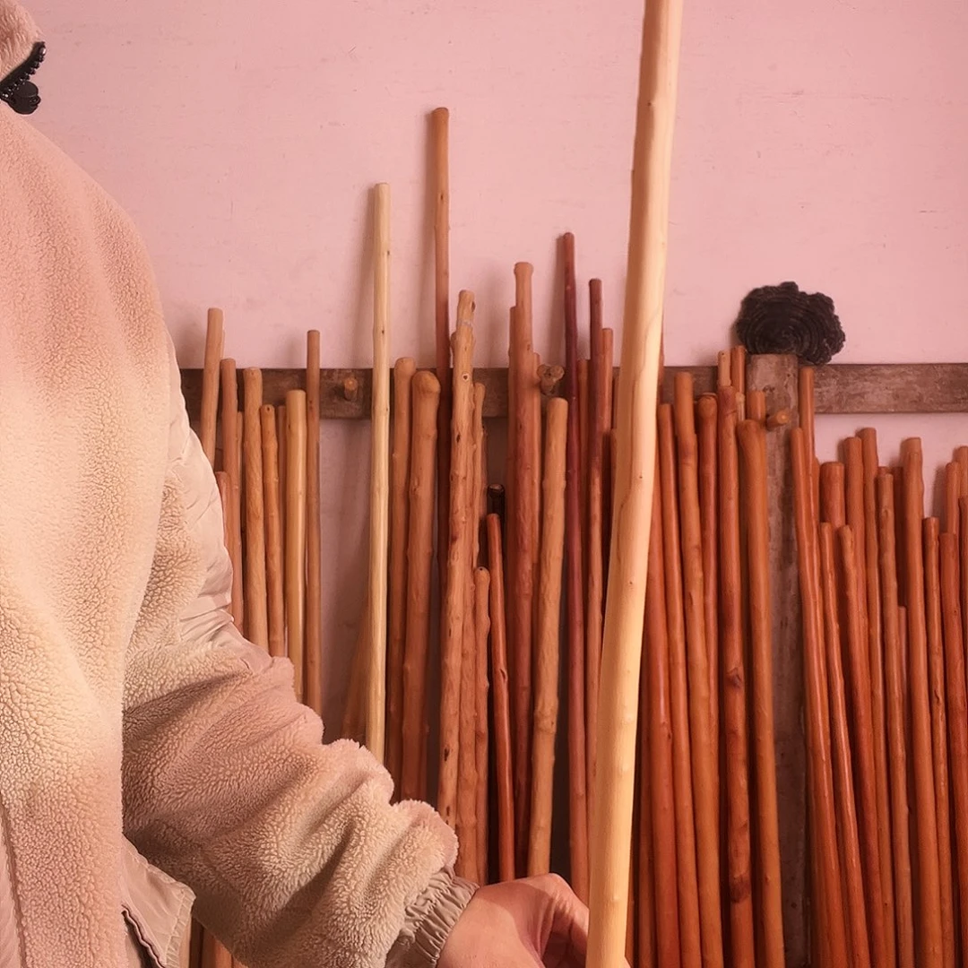 @***莲秦岭山脉青荀子。