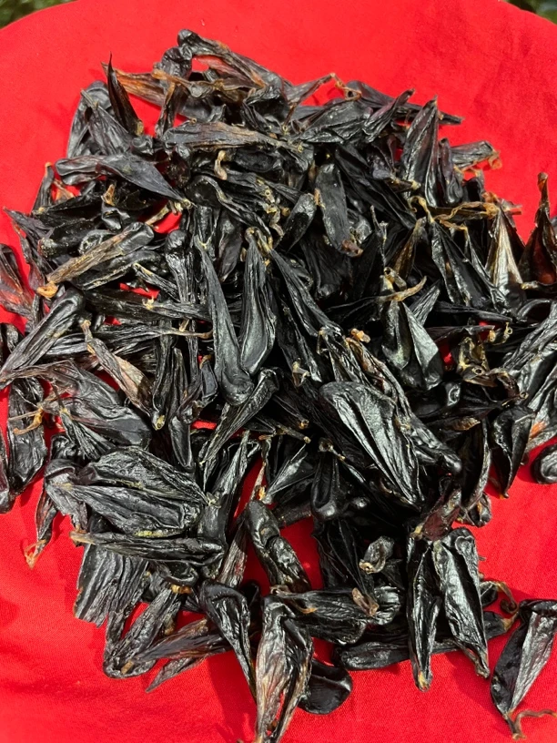 现收 深  山高原虫 它【月 旦】干货—山货