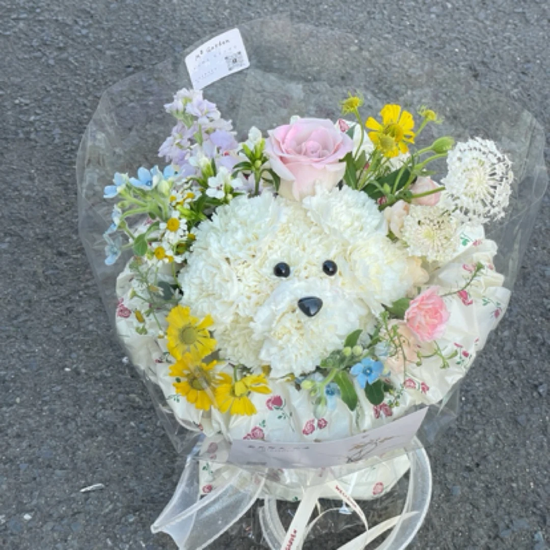 【簪花小狗】花束白色康乃馨混搭多种配花送朋友爱人生日情人节花束