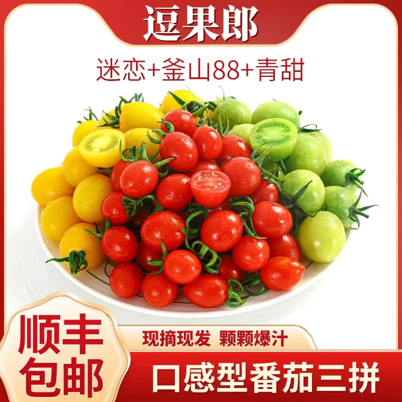 【顺丰包邮】三色小番茄圣女果3斤