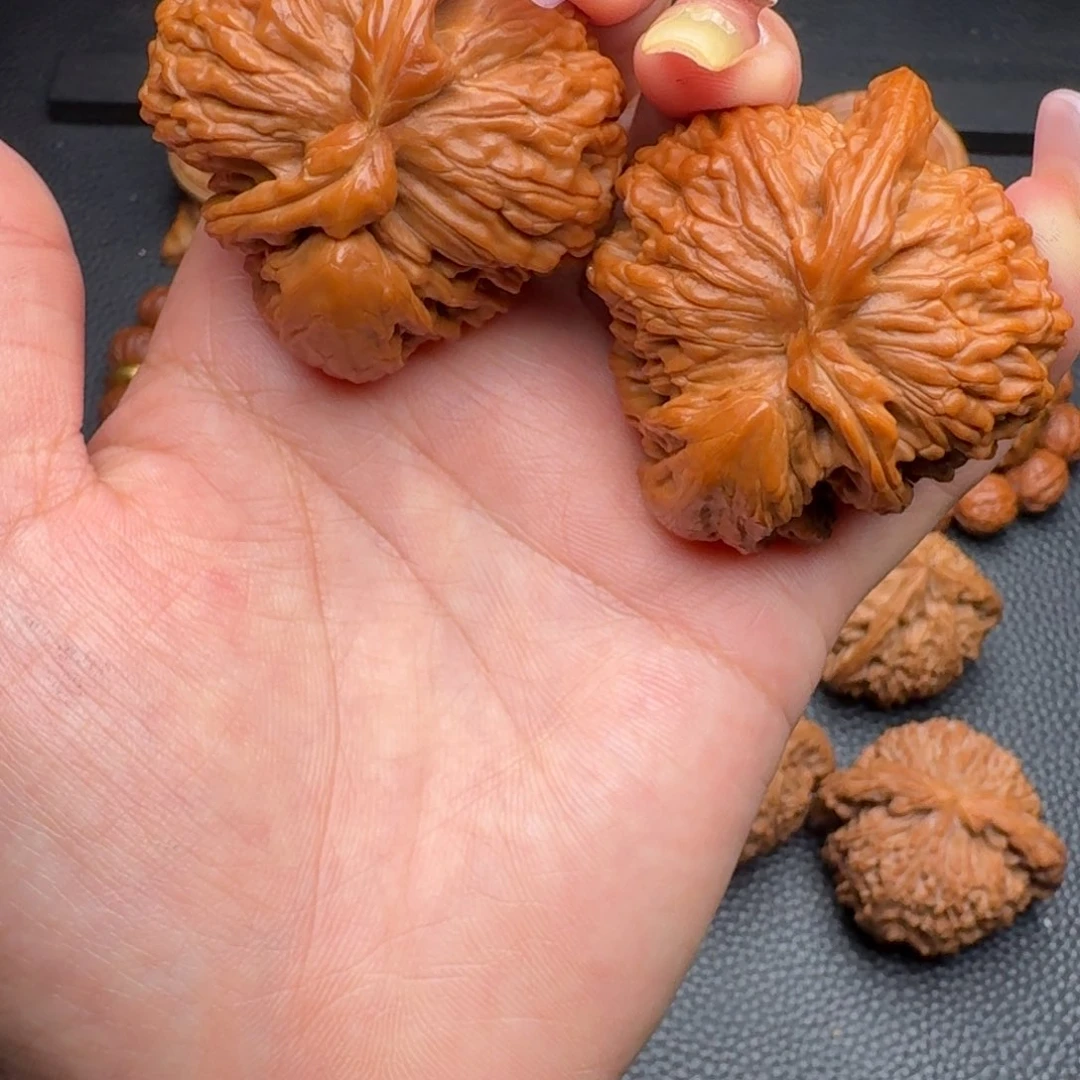 桃核把件白狮子犀牛角