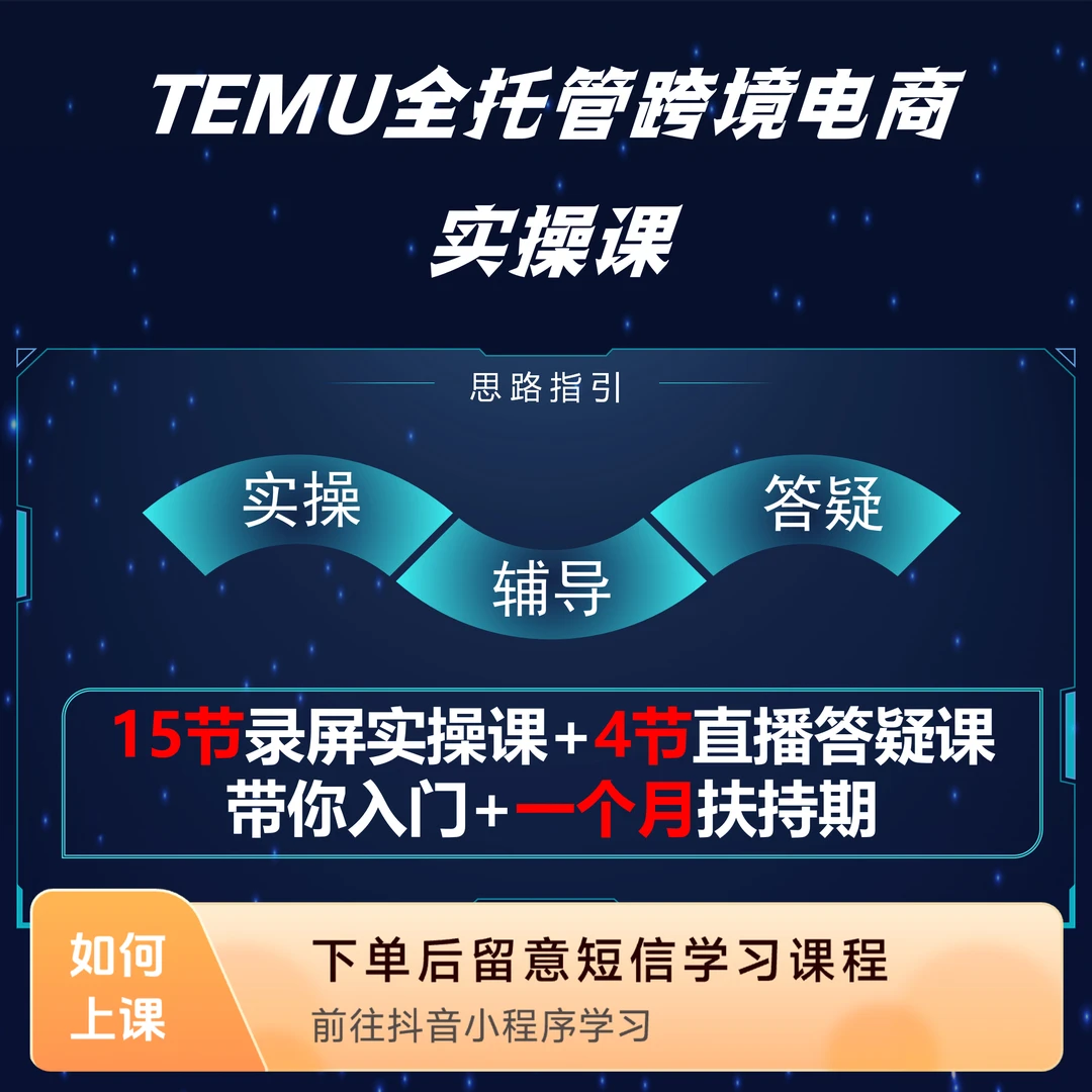 TEMU新手实操训练营