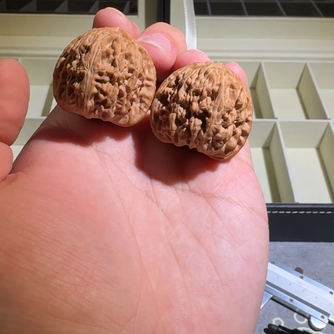 我***～大叶紫檀（黑酸枝木类）