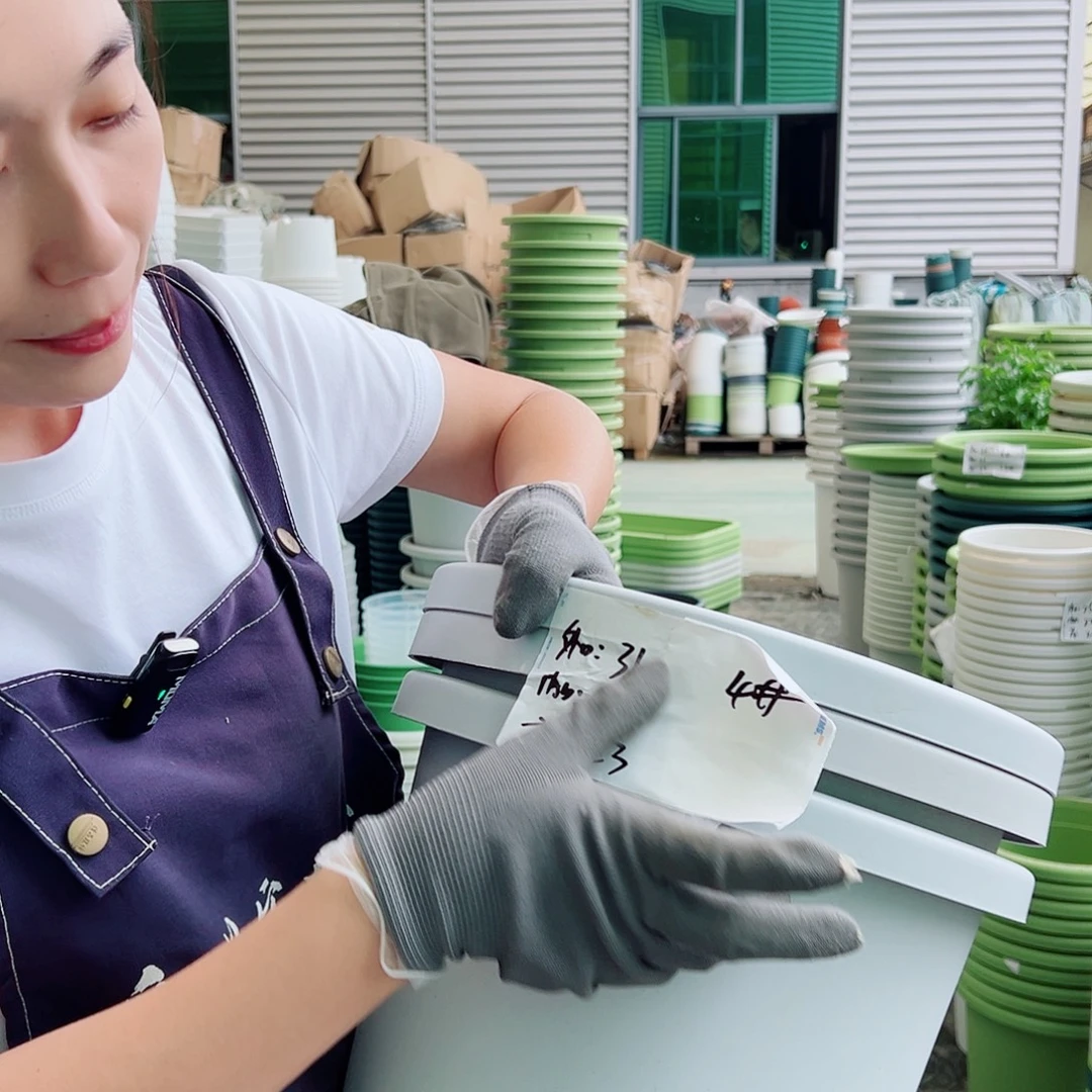 球根盆4#灰白5个无托