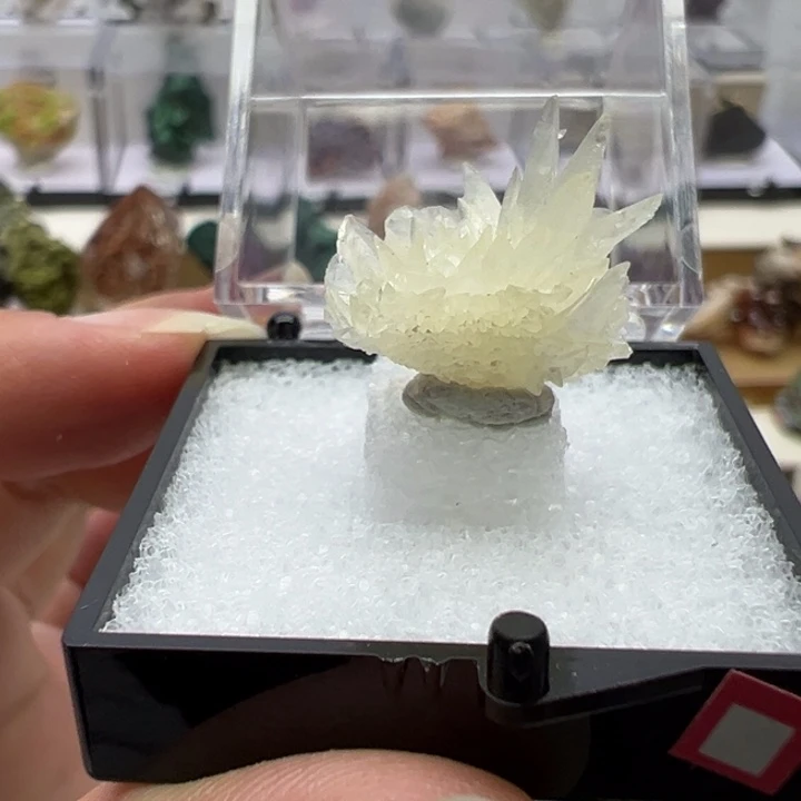 未镶嵌眼镜紫晶结晶石