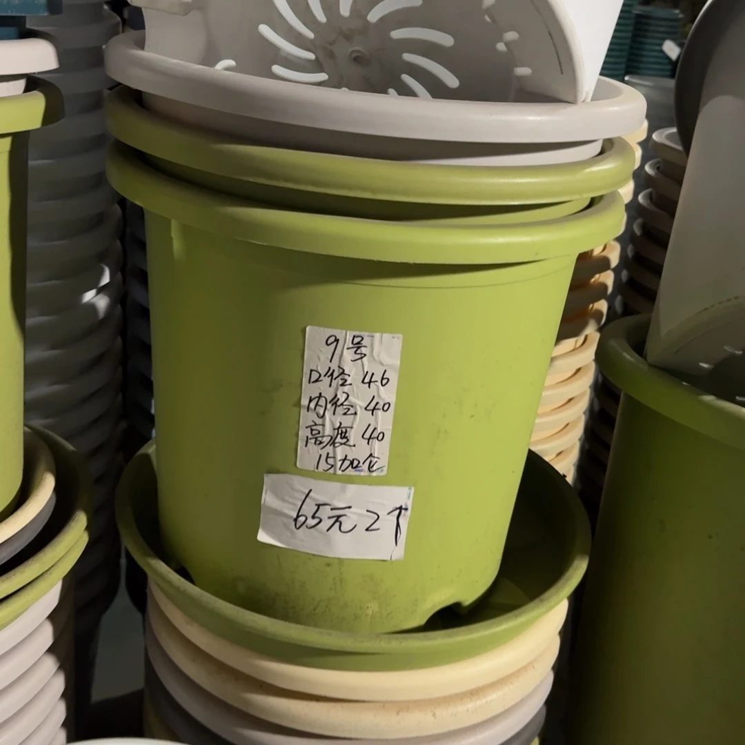 四季9#口径46无拖果绿3个