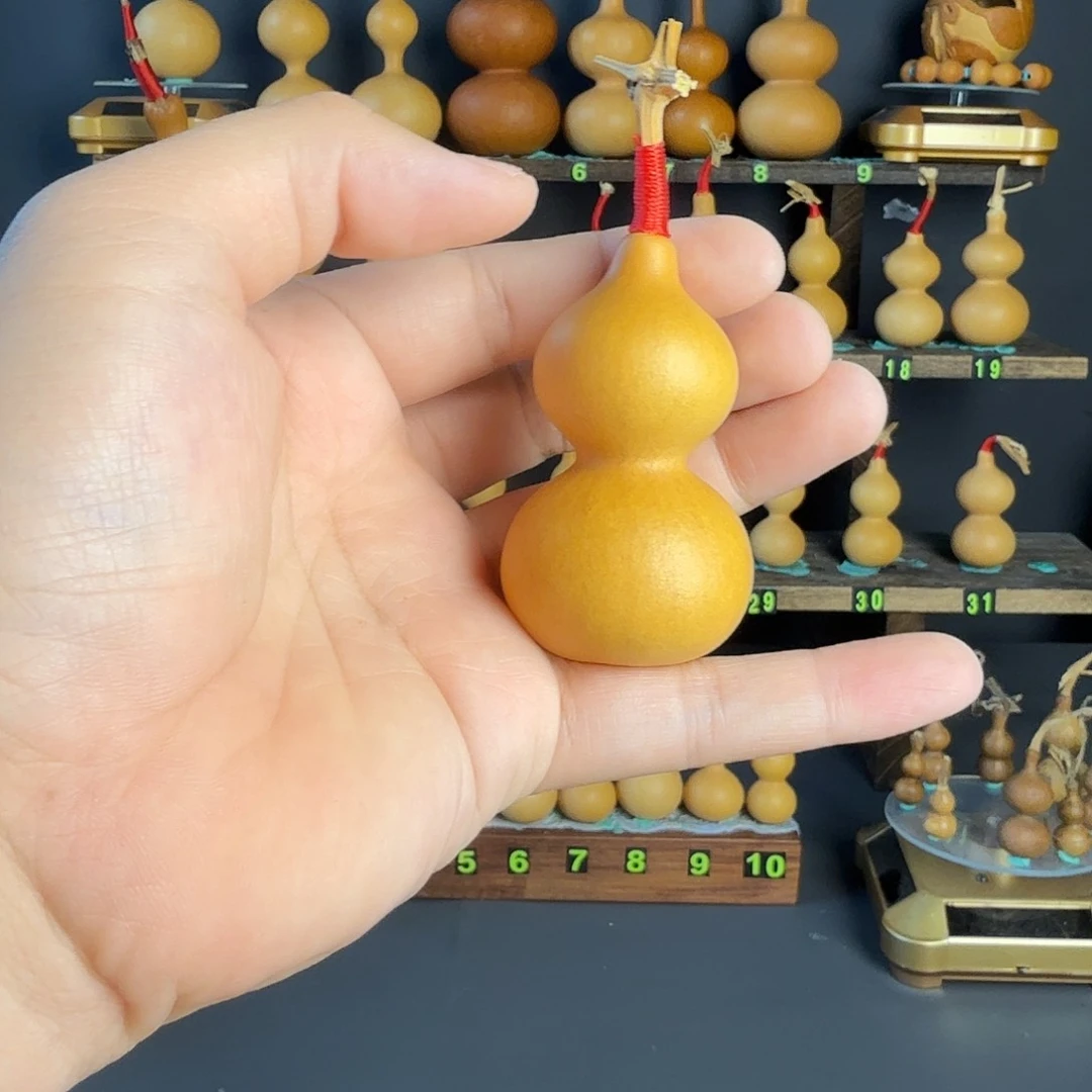 金*葫芦葫芦葫芦葫芦葫芦葫芦葫芦