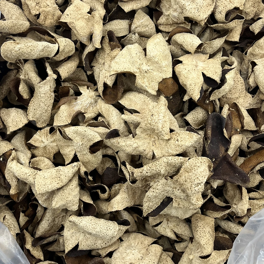 【青皮】2016年东甲核心产区花青皮药香