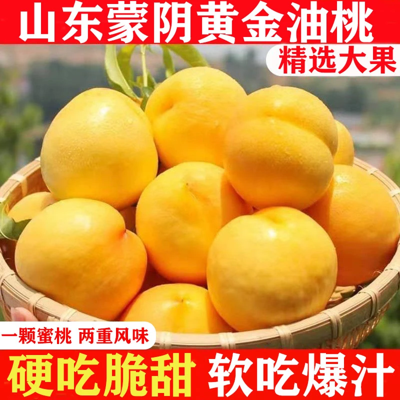 【山东蒙阴黄桃】产地直发水果咬汁水四溢坏果包赔BZBT