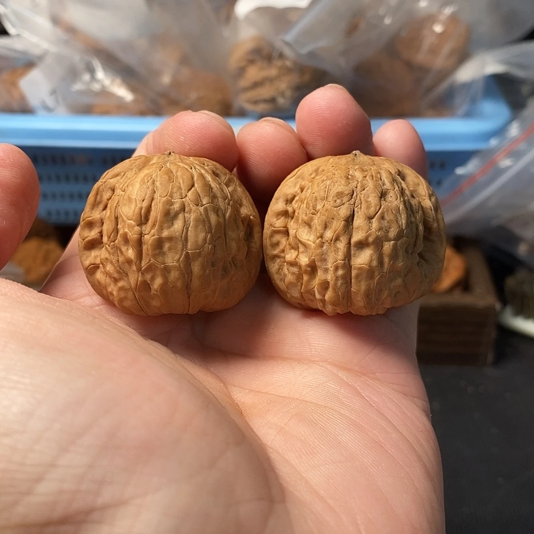 1文玩核桃蟒蛇元宝36-450