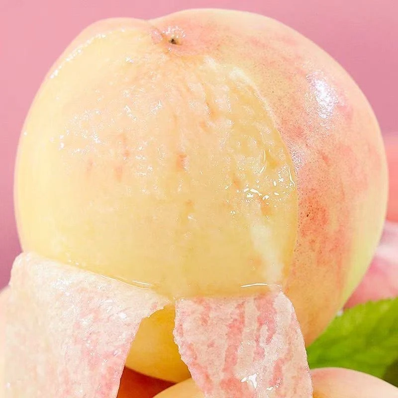 【阳山水蜜桃】新鲜多汁 整箱带箱4.5斤左右 仅限太原晋中吕梁购买