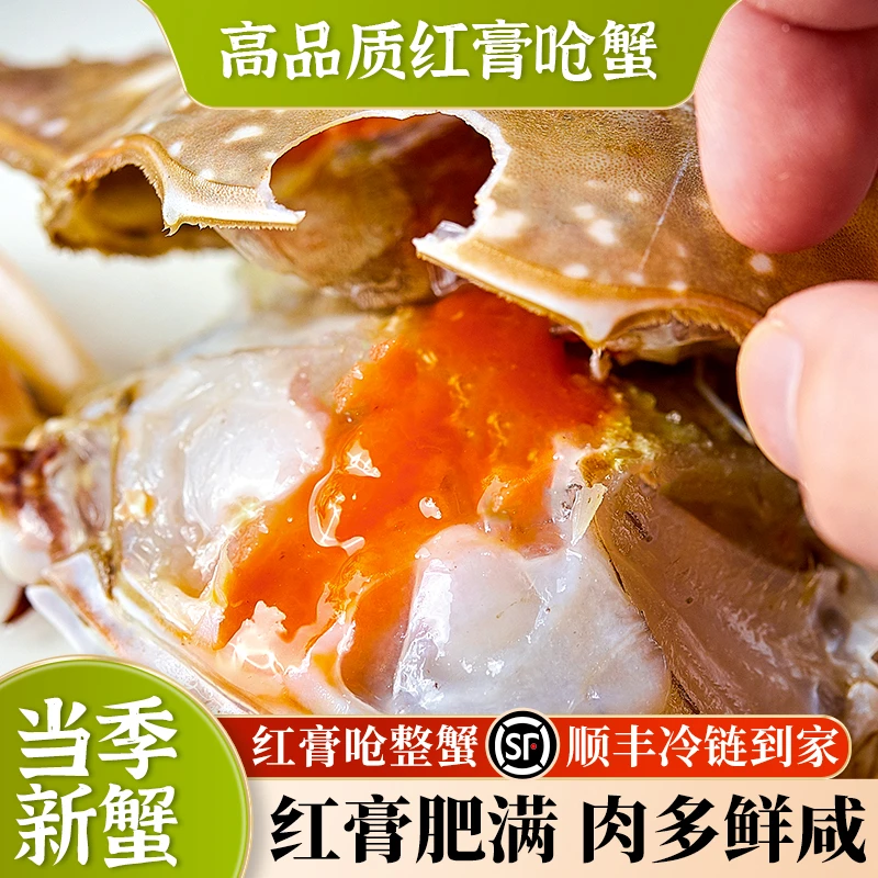 【4-6两精品红膏呛蟹】舟山特产梭子蟹新鲜腌制鲜可口肉肥饱满鲜甜