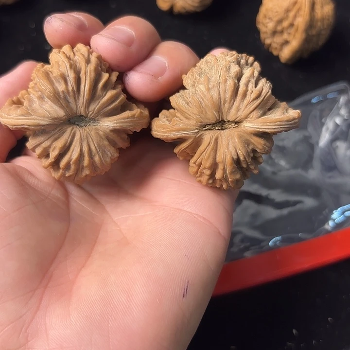 大叶紫檀（黑酸枝木类）