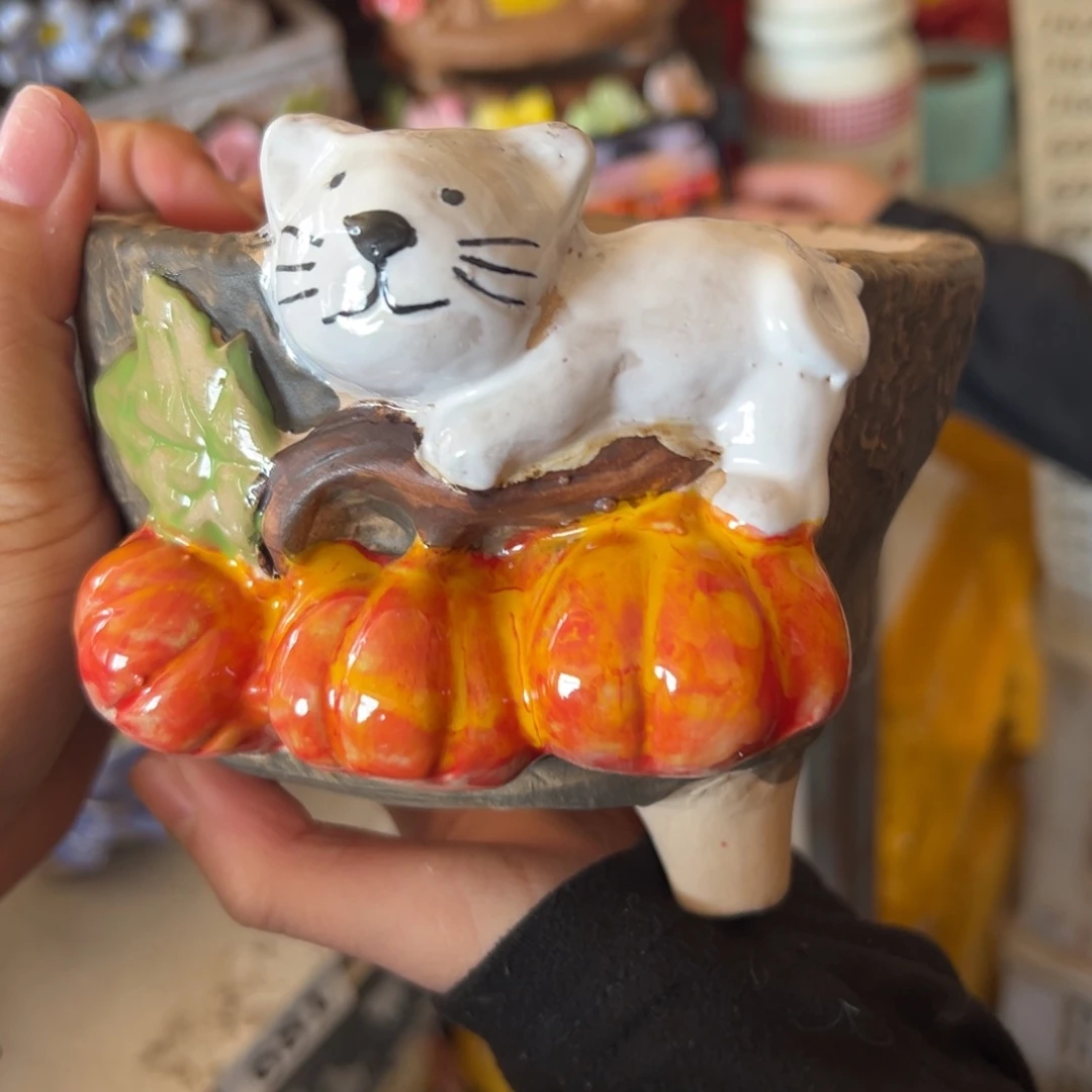 花盆，拍满20发货，退款拉黑