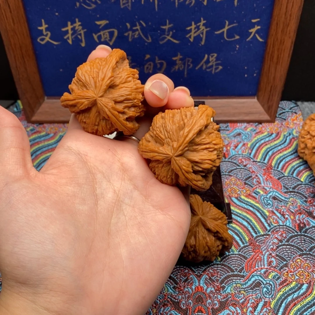 【闪购商品】砚****e白狮