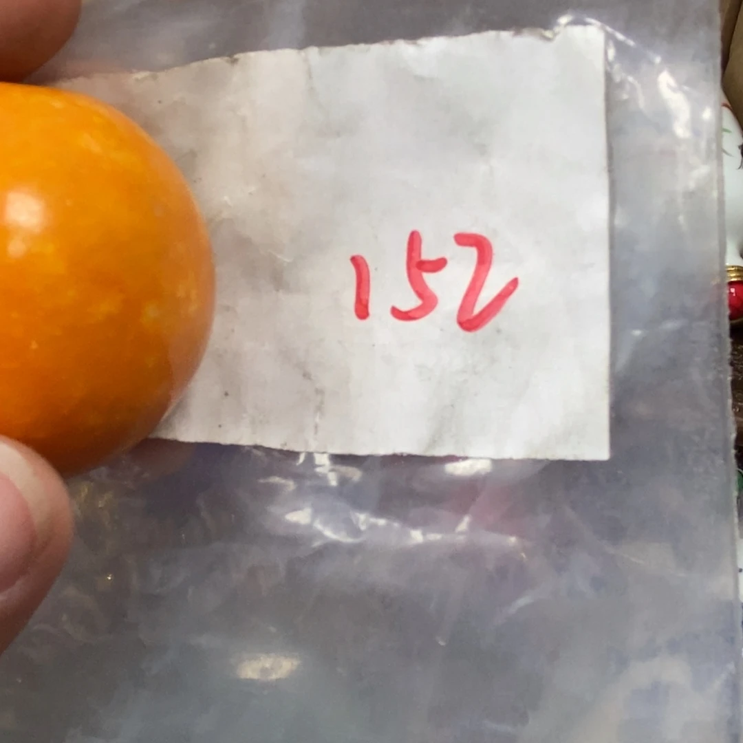 歌***视龙脊菩提吊坠德宝文玩直播间专属链接
