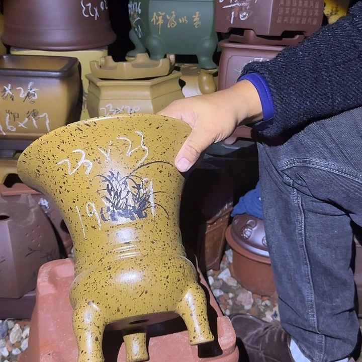 紫砂花盆紫砂花盆