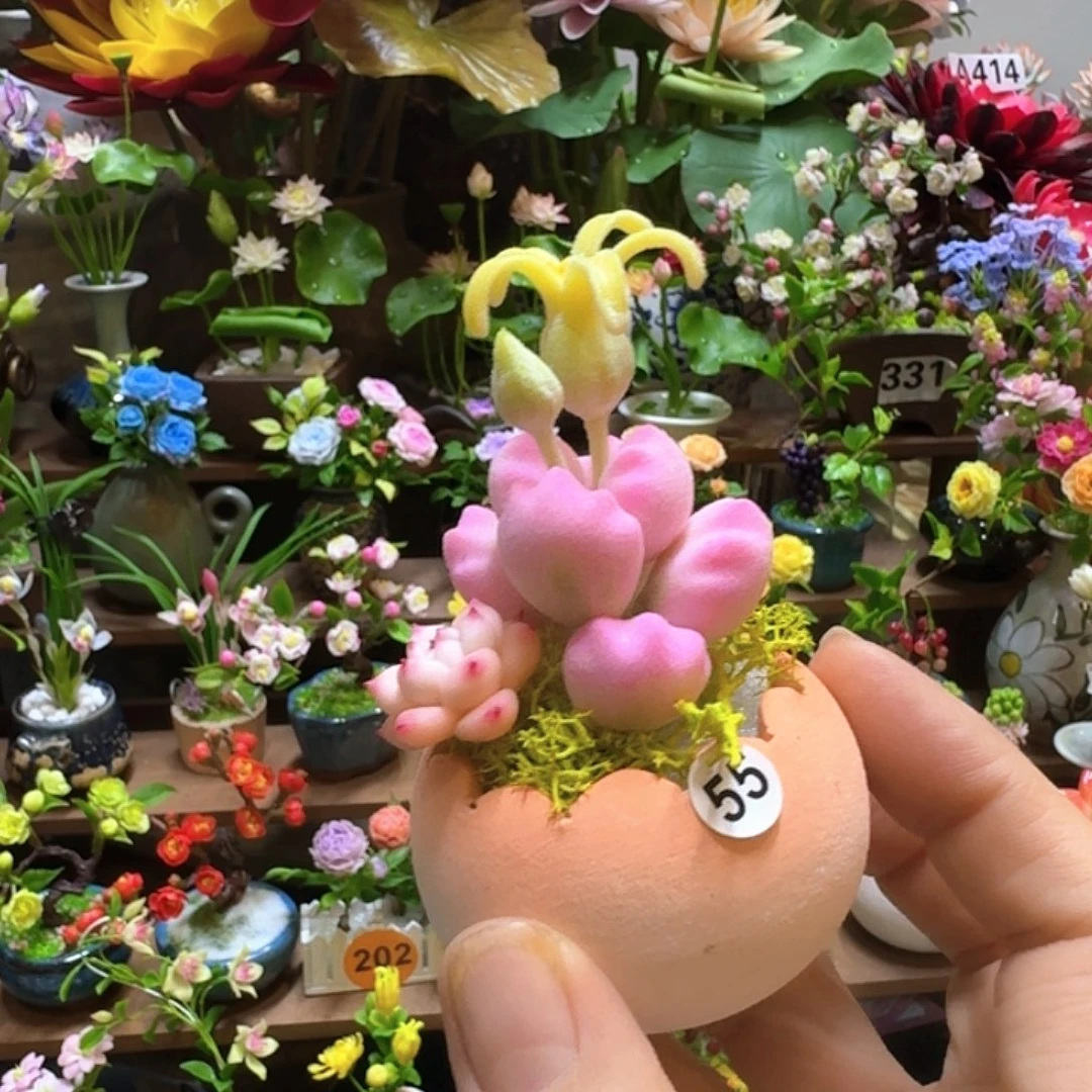 希***宝我们的生活也是如此的