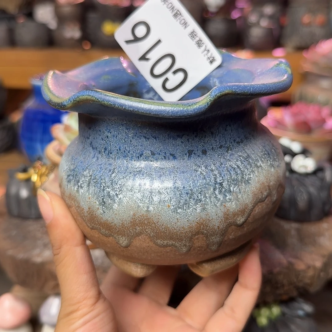 重庆小燕子欢迎大家016