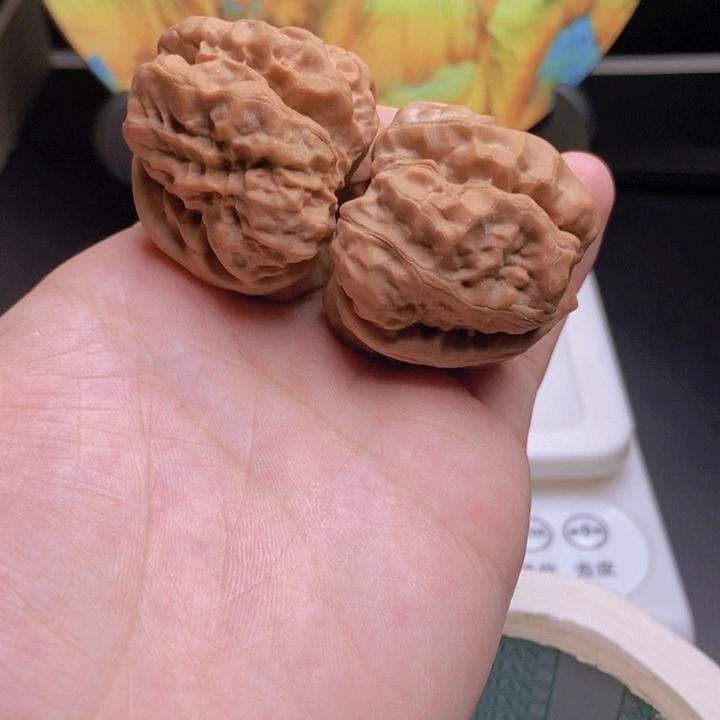 核桃40.44四开背蛙蛙