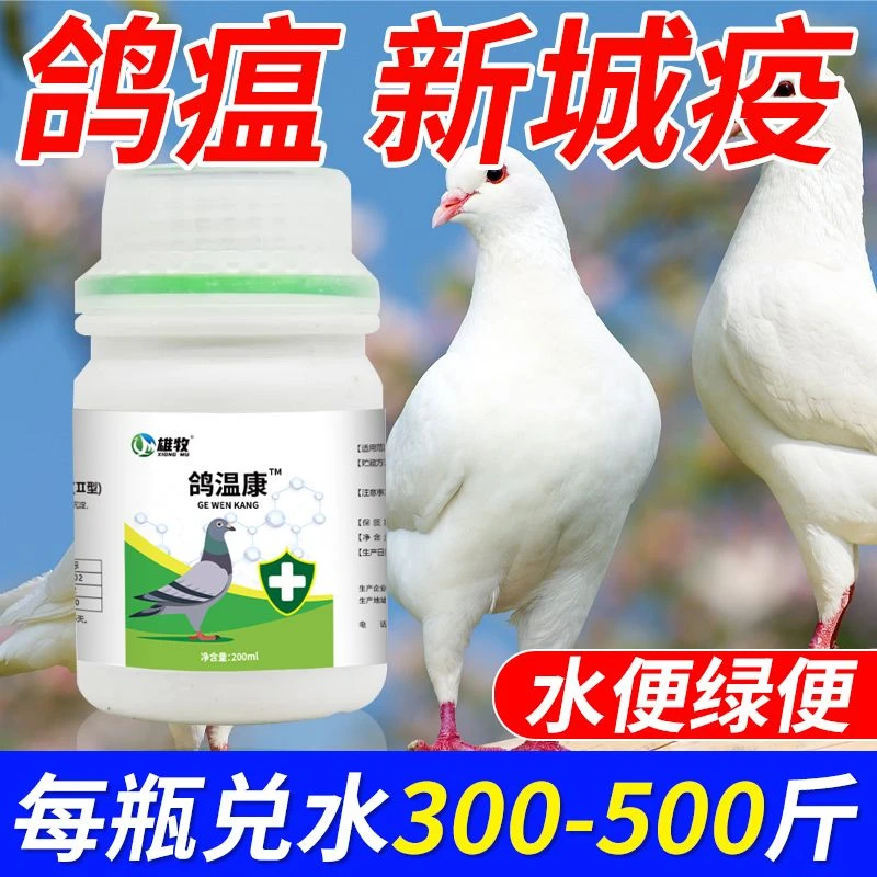 雄牧鸽温康无精神鸽瘟呕吐甩食呆立拉稀水炸毛绿便肉鸽养殖品专用