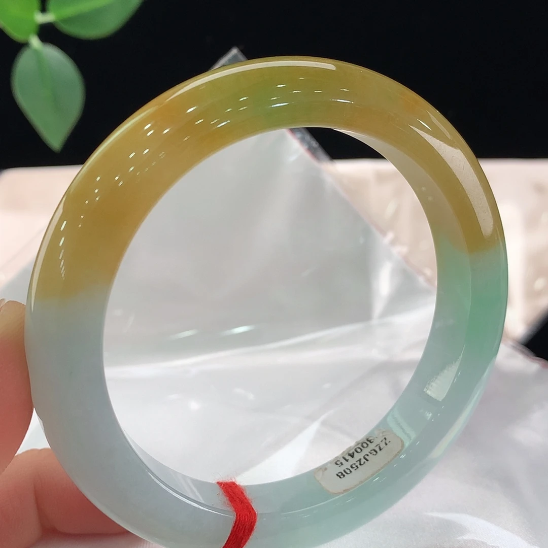 未镶嵌手镯翡翠0415
