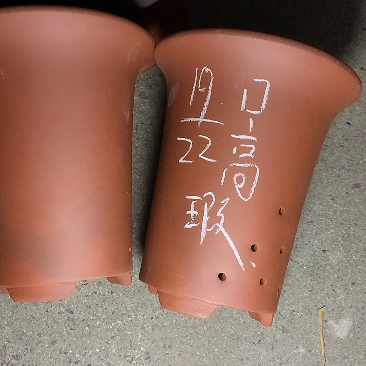 紫砂花盆紫砂的颜色很好看