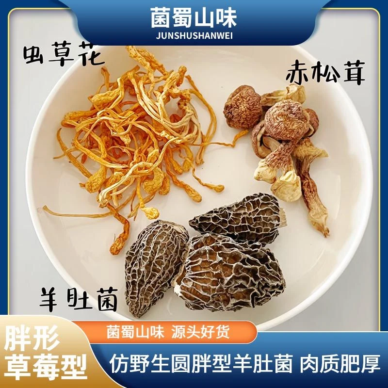 仿野羊肚菌 圆胖型 草莓型 肉质肥厚 香味浓郁 煲汤煲粥蒸蛋