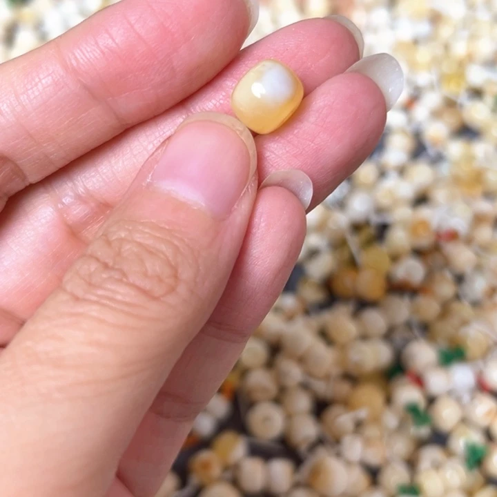 裸石蜜蜡未镶嵌9.4mm一个