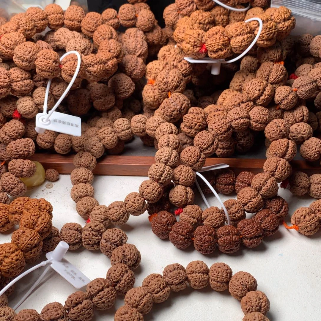 串****金刚菩提手串20龙牙