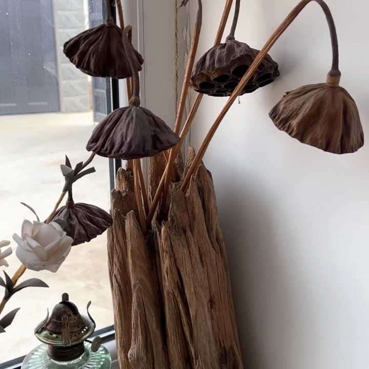 @***风竖款闪闪闪闪闪闪闪闪闪闪闪