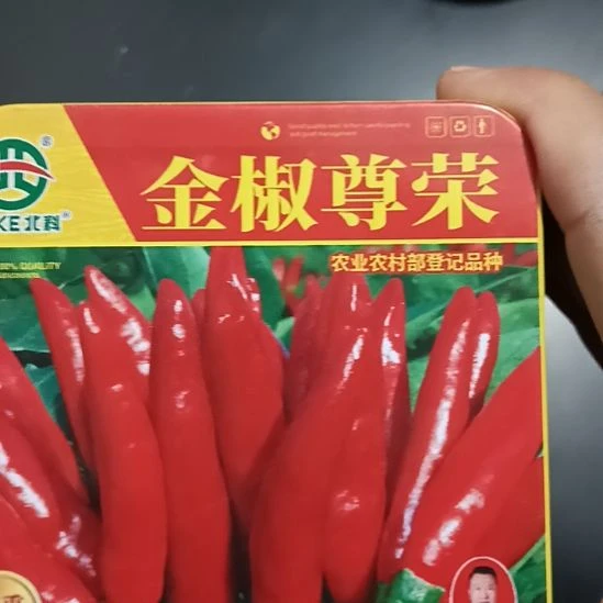 中国大陆商丘柘城辣椒大市场807