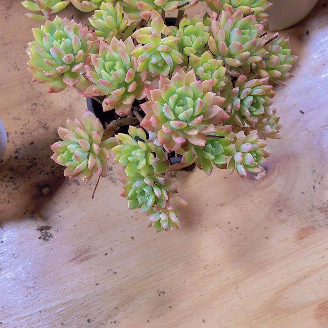 不***喻0000000000000000015