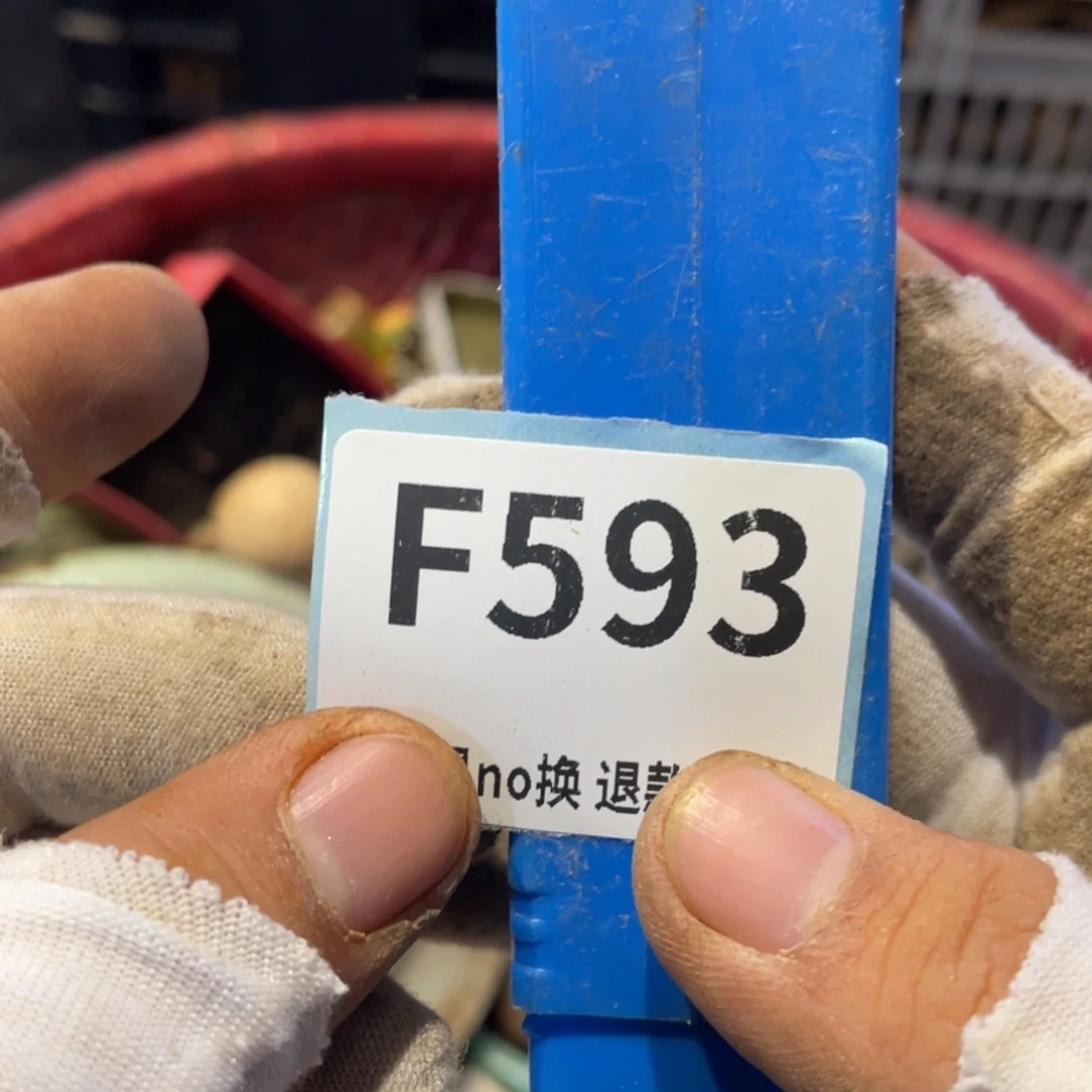 课***表瓷片表弟链接火爆热卖热卖